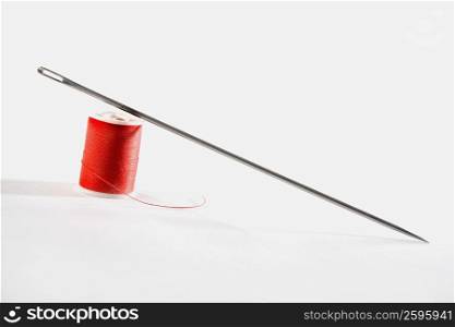 Close-up of a needle with a spool of thread