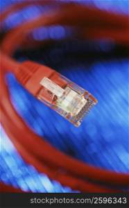 Close-up of a network connection plug