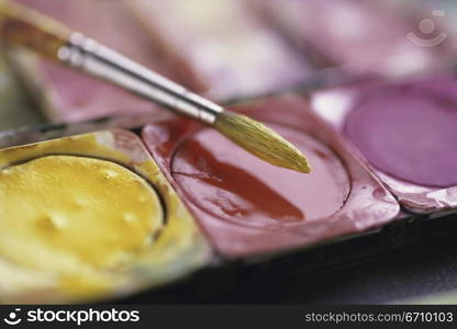 Close-up of a paintbrush on watercolors