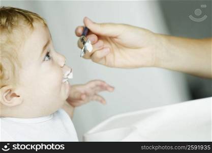 Close-up of a person&acute;s hand feeding a boy