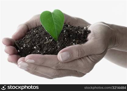 Close-up of a person&acute;s hand holding dirt with a leaf