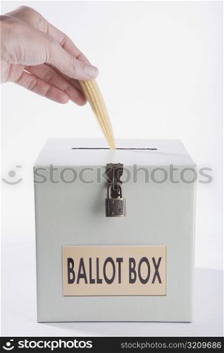 Close-up of a person&acute;s hand putting a corncob into a ballot box