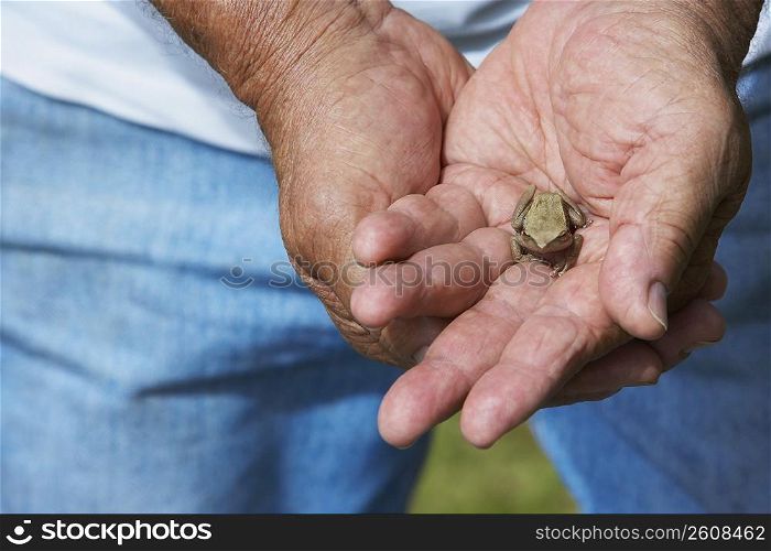 Close-up of a person holding a frog