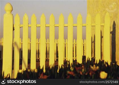 Close-up of a picket fence