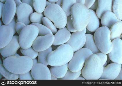 Close-up of a pile of flat white beans