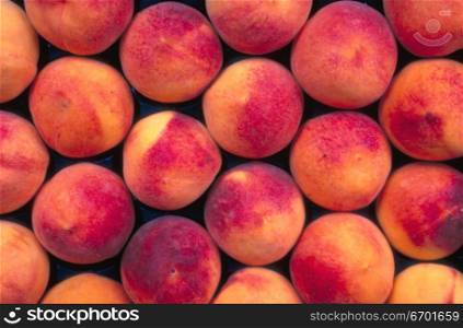 Close-up of a pile of fresh peaches