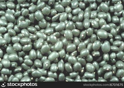 Close-up of a pile of green lentils