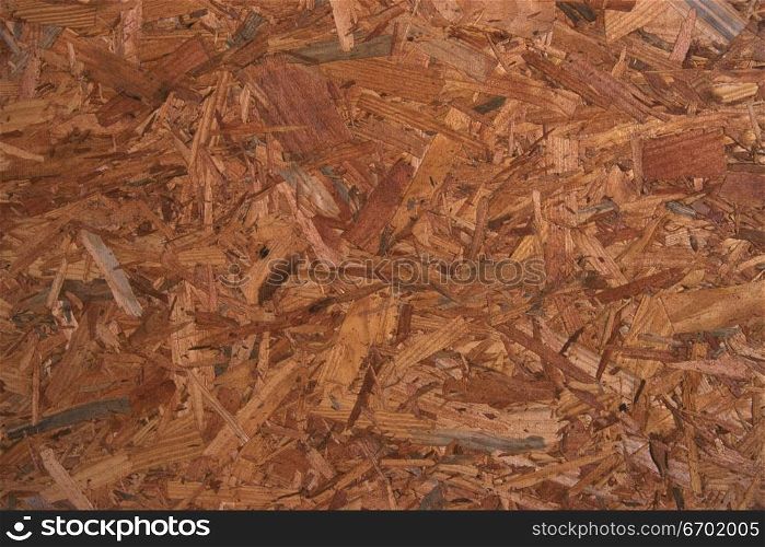 Close-up of a pile of wood shavings