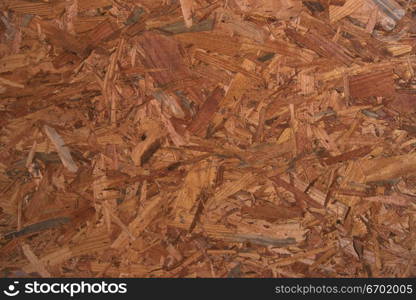 Close-up of a pile of wood shavings