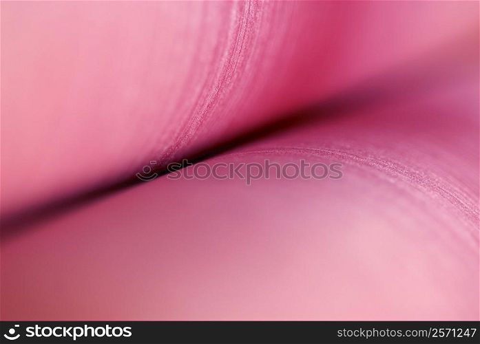 Close-up of a pink textile