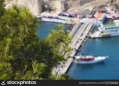 Close-up of a plant with an island in the background, Ephesus, Turkey