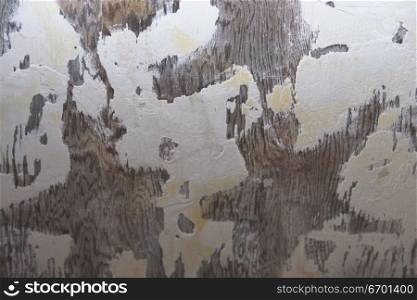 Close-up of a plastered wall