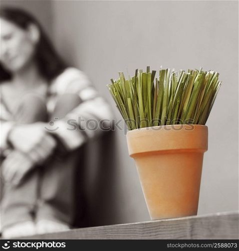 Close-up of a potted plant with a mature woman sitting in the background