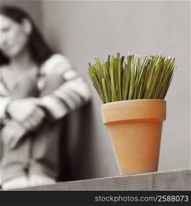 Close-up of a potted plant with a mature woman sitting in the background