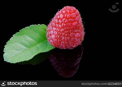 Close up of a raspberry on black, with reflection