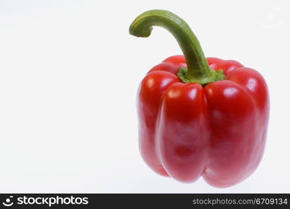 Close-up of a red bell pepper