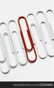 Close-up of a red paper clip in a row of white paper clips