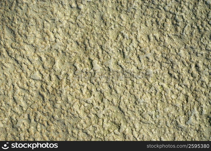 Close-up of a rock