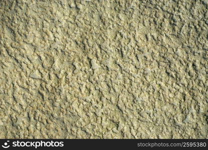 Close-up of a rock