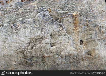 Close-up of a rock