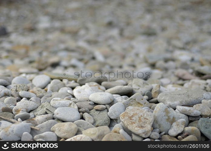 Close-up of a rock