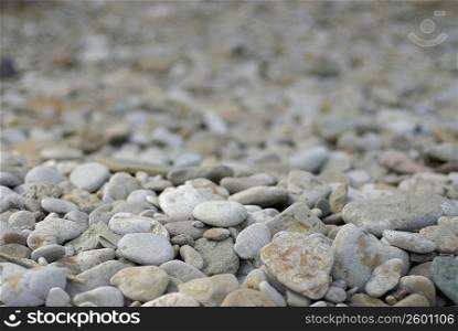 Close-up of a rock