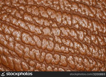 Close-up of a rough leather surface