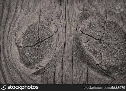 Close-up of a rough wooden background with textures