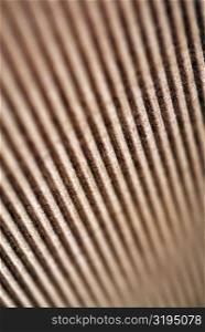 Close-up of a rusty iron sheet
