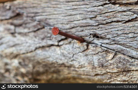 Close-up of a rusty nail fixed on an old surface of wood