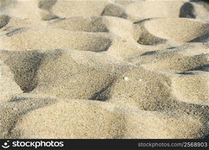 Close-up of a sand on the beach