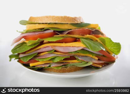 Close-up of a sandwich on a plate