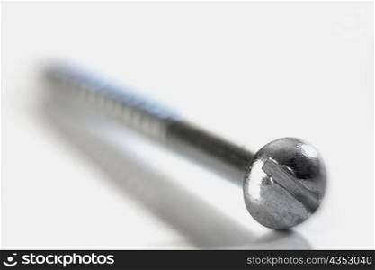 Close-up of a screw