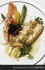 Close-up of a seafood in a plate