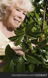 Close-up of a senior woman gardening