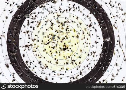 Close up of a shooting paper target and bullseye with many bullet holes. Shooting target and bullseye with many bullet holes