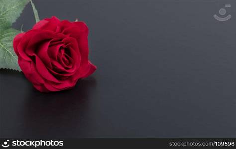 Close up of a single red rose on dark stone background