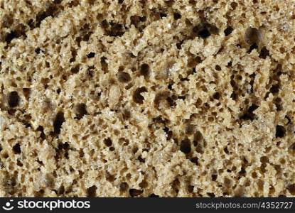 Close-up of a slice of brown bread