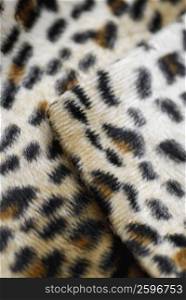 Close-up of a spotted fabric