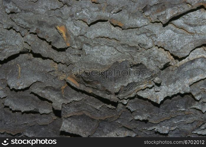 Close-up of a stone surface