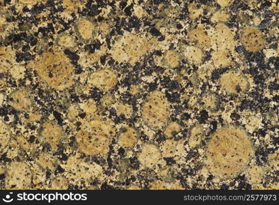 Close-up of a stone wall