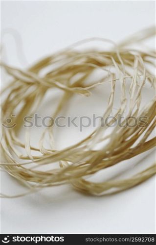 Close-up of a straw