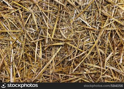 Close up of a straw background texture (high details).