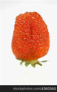 Close-up of a strawberry