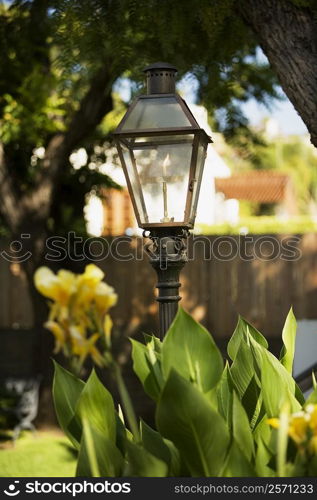 Close-up of a street light