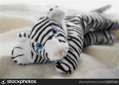 Close-up of a stuffed toy