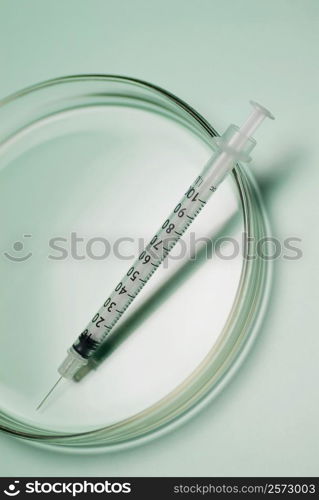 Close-up of a syringe in a petri dish