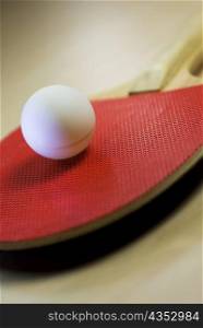 Close-up of a table tennis ball with a table tennis racket
