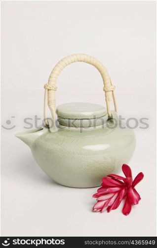 Close-up of a tea kettle with a flower