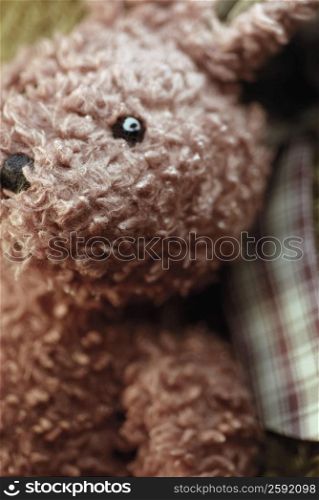Close-up of a teddy bear